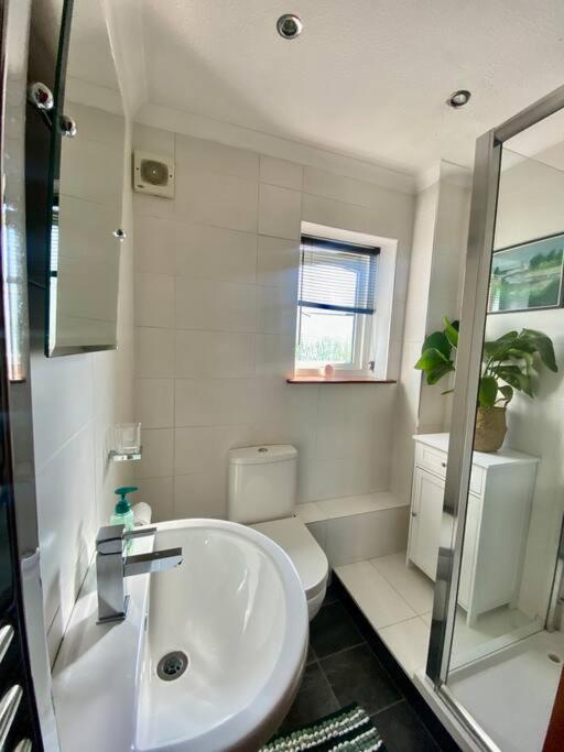 Apartment With Parking, Close To The Raigmore Hospital Inverness Exteriör bild